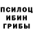 Псилоцибиновые грибы мухоморы Bohdan777
