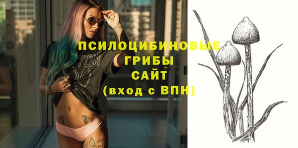 прущие крисы Армянск