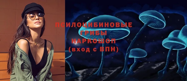 прущие крисы Армянск
