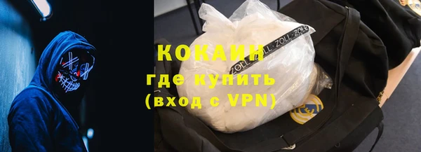 твердый Новодвинск