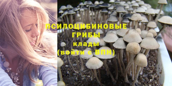 прущие крисы Армянск