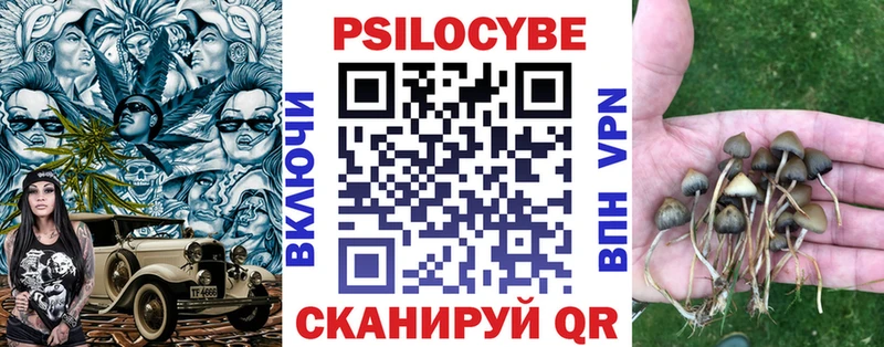 Псилоцибиновые грибы GOLDEN TEACHER  Скопин 